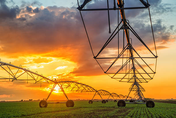 istock Automated farming irrigation system in sunset 497215812