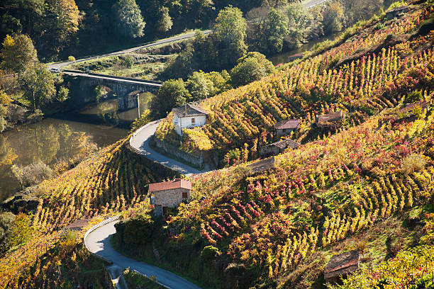 ribeira sacra ブドウ園や川・ミーニョ、ガリシア、スペイン製です。 - ourense province ストックフォトと画像