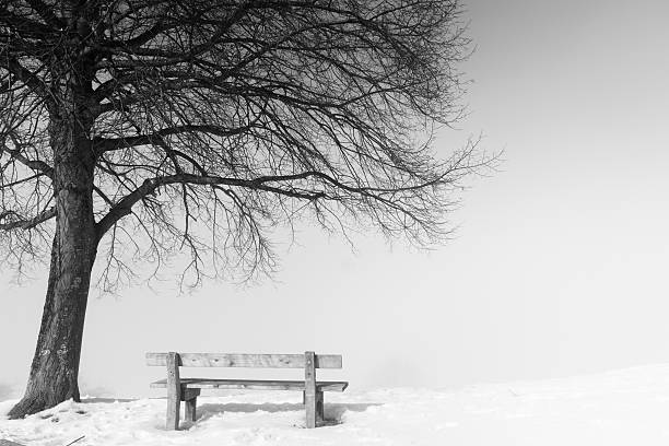 istock bench, foggy winter day 497219038
