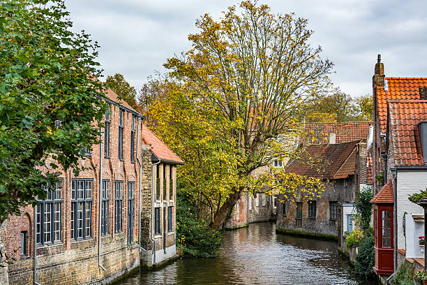 istock Medieval houses over the canal in Bruges 497222862