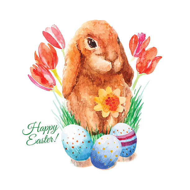 Easter bunny, easter eggs, tulips. Easter bunny, easter eggs, tulips. Happy Easter card. grass vector meadow spring stock illustrations