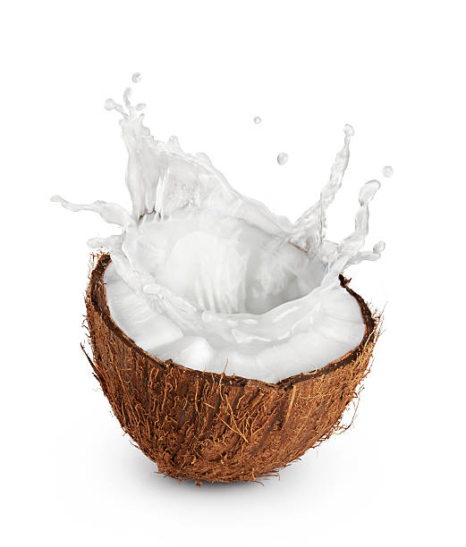 noce di cocco con il latte splash su sfondo bianco. - latte di cocco foto e immagini stock