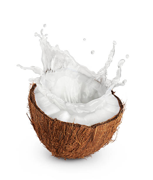 Coconut with milk splash on white background. Coconuts with milk splash on white background. Close up. coconut milk stock pictures, royalty-free photos & images