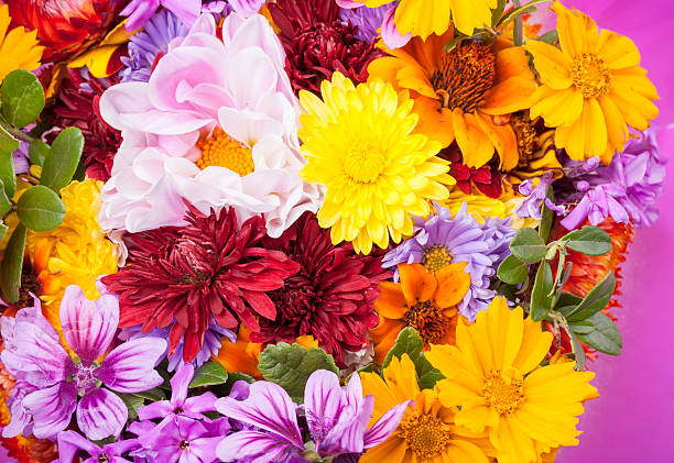 istock Colorful bouquet of different decorative flowers 497225310