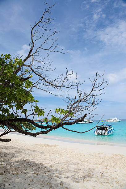 istock White sand beach at Koh Miang  ,Similan Islands 497225624