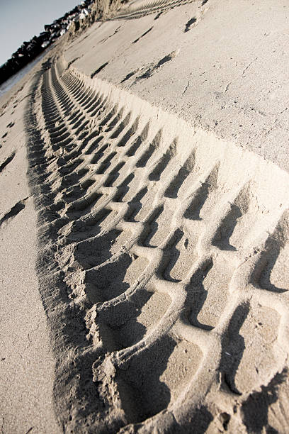 istock Car tracks in the sand 497226897