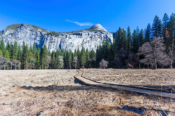 el capitan dans le parc national de yosemite - treet photos et images de collection