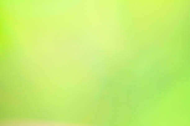 istock And fantasy blur bokeh. 497229133