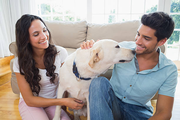 istock Attractive couple enjoying the day with their dog 497230347