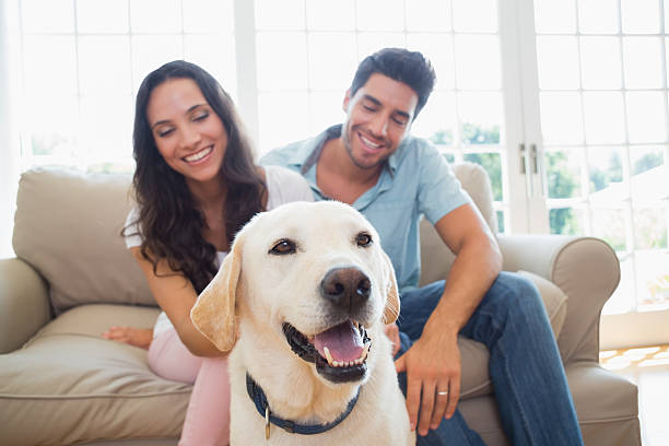 istock Happy couple having fun with the dog 497230353