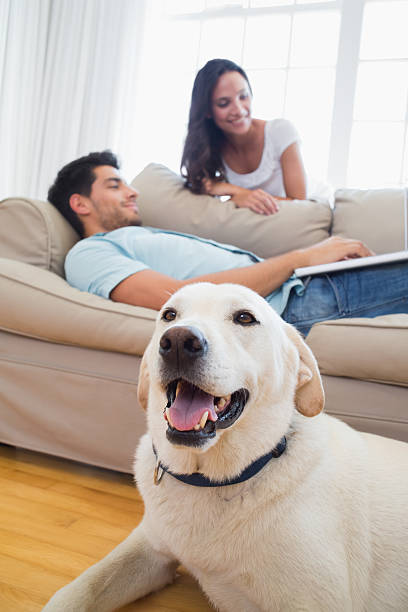 istock Happy couple relaxing with their dog 497230361