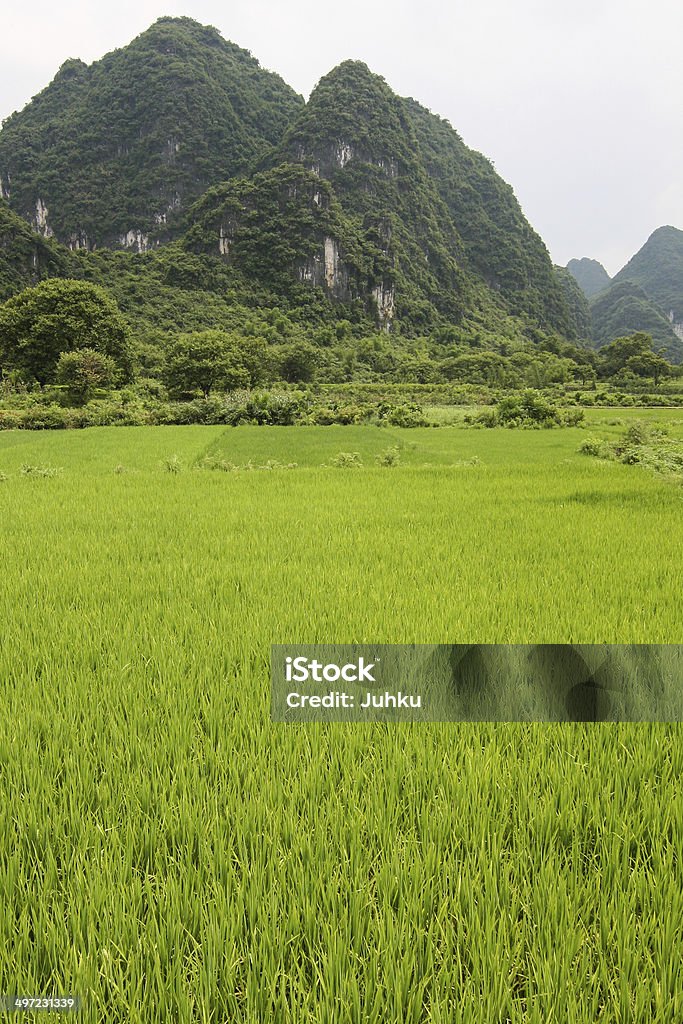 Рисовые поля и Карст Горы пейзаж, Китай - Стоковые фото Гора роялти-фри