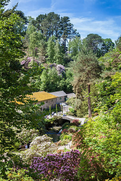 Bodnant Garden, The Old Mill view from high perspective