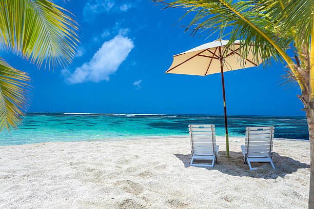 istock Tropical white sand beach for relax and vacations. 497232259