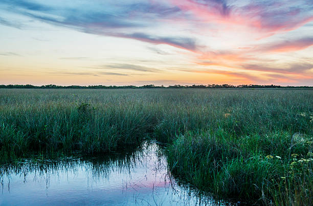 Sunset Over Scenic Everglades National Park Horizon