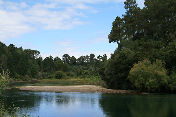 Waikato river Waikato river picturesque landscape, New Zealand wildwater stock pictures, royalty-free photos & images