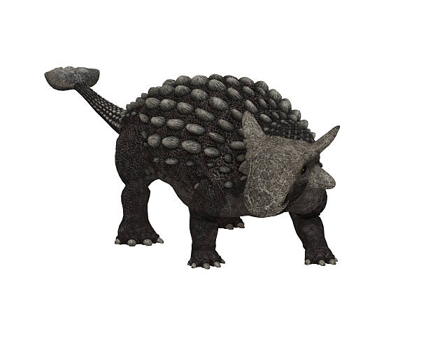 Ankylosaurus stock photo