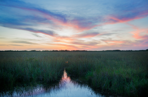 This is a horizontal color photograph over the landscape in the Florida Everglades National Park.