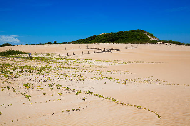 Itaunas Beach Espirito Santo Brazil dune sand sea sand