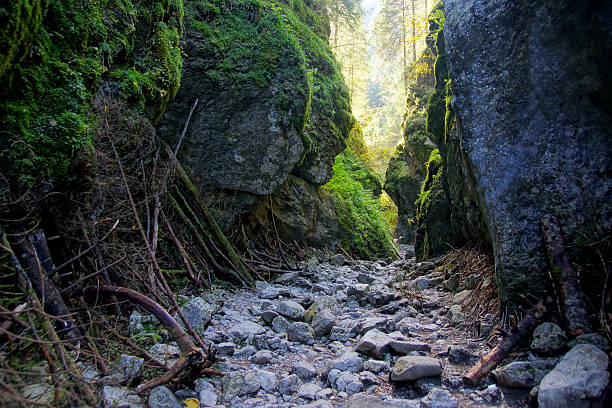 Cracow gorge, Tatras Mountains, Poland