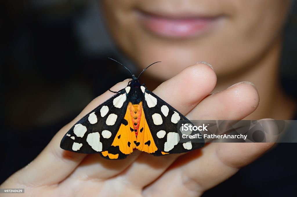 Butterfly sitting on girl's hand Adult Stock Photo