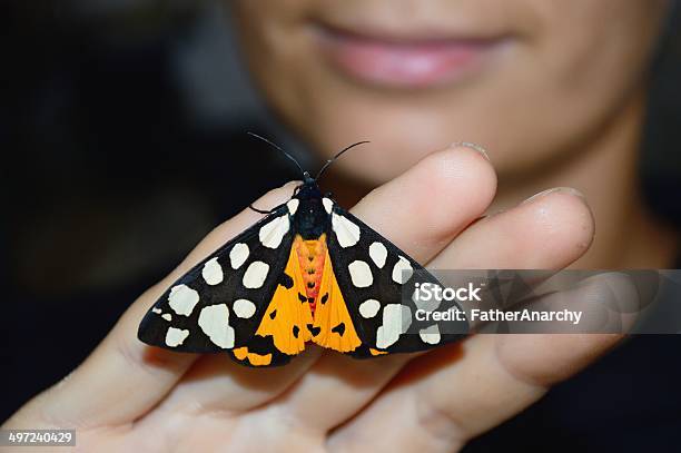 Butterfly Sitting On Girls Hand Stock Photo - Download Image Now - Adult, Animal Body Part, Animal Wing