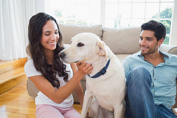 istock Attractive woman petting her dog 497241887