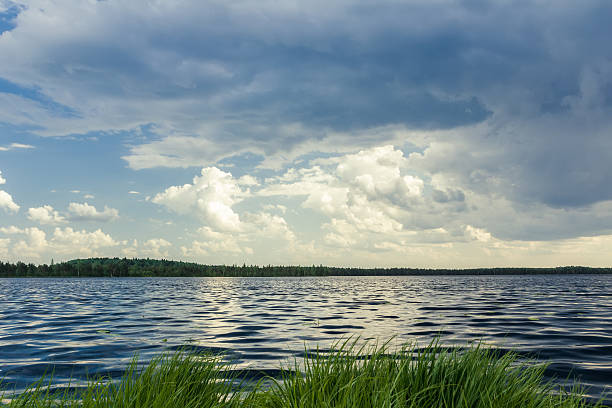 paisagem com lago e floresta azul grande chuveiro nuvens de chuva - uncultivated meteorology weather sea imagens e fotografias de stock