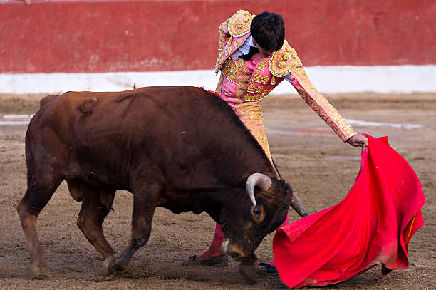 matador - sangre de animal fotografías e imágenes de stock