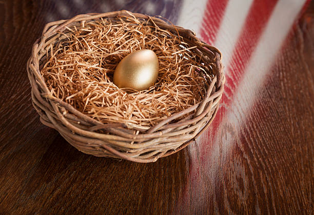 golden egg w gniazdo z amerykańska flaga odbicia na stół - animal egg golden animal nest nest egg zdjęcia i obrazy z banku zdjęć