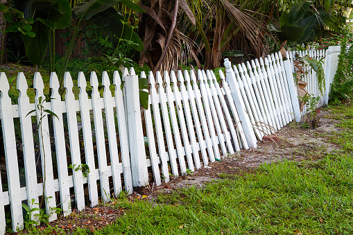 Abandoned picket fence falling over as it rots