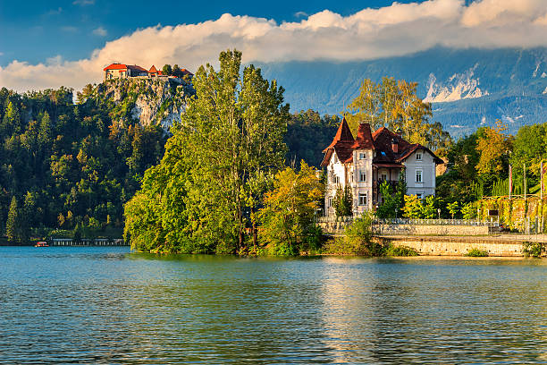 istock Lake Bled and Bled castle,Slovenia,Europe 497251334