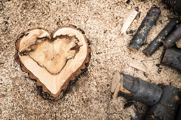 Heart shaped tree trunck crosscut log background - stock image stock photo