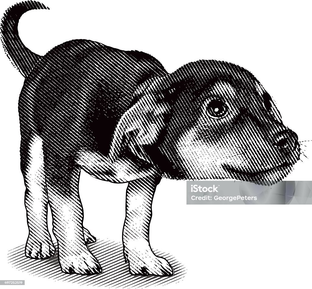 Linda, curioso cachorrinho - Vetor de Filhote de cachorro royalty-free