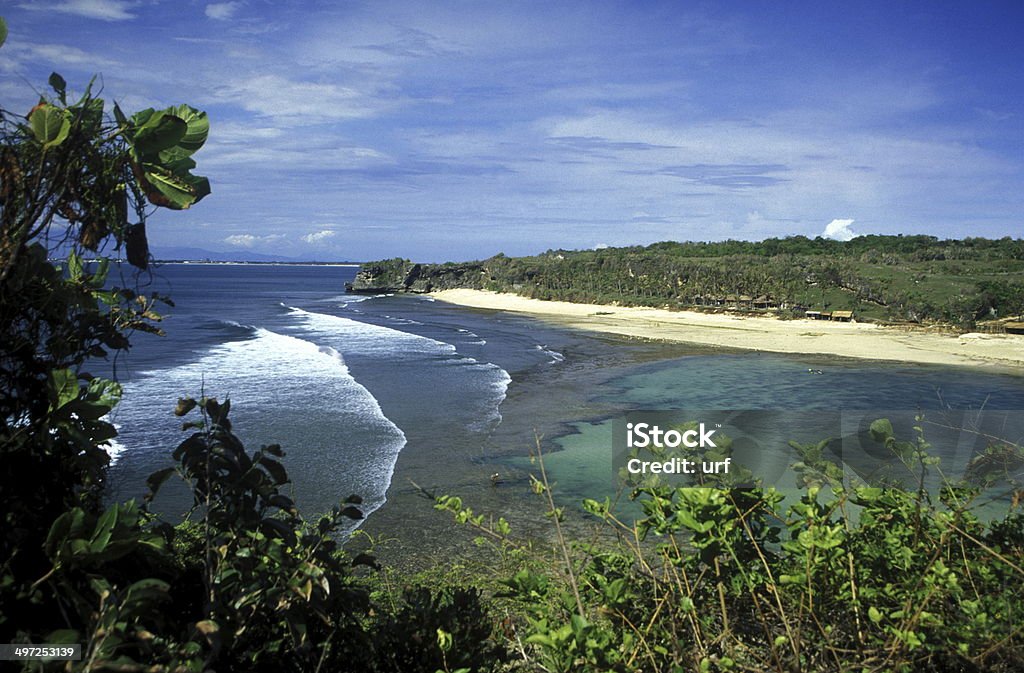 FILAMENTO DE BALI - Foto de stock de Bali libre de derechos