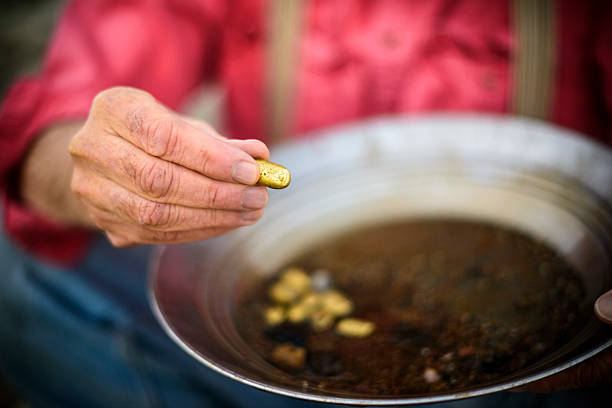 Golden Nugget Man holding out golden nugget found from panning for gold. panning for gold photos stock pictures, royalty-free photos & images