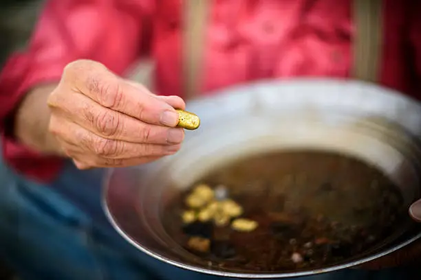 Man holding out golden nugget found from panning for gold.