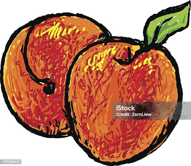 Peaches Apricots Stock Illustration - Download Image Now - Orchard, Peach, Apricot