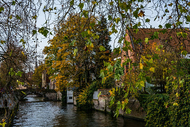 istock Beautiful canal in Bruges through leaves 497256304