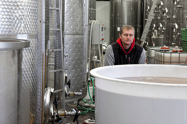 istock Production of wine in winery 497257734