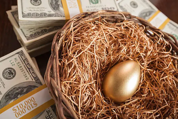 Photo of Golden Egg in Nest and Thousands of Dollars Surrounding
