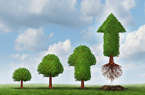 istock Investment Success 497267163