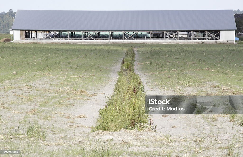 Dormant and Unproductive Farm Land Land is unproductive and unused where drainage or soil conditions could be a problem. Dirt Stock Photo