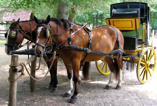 horses and stagecoach