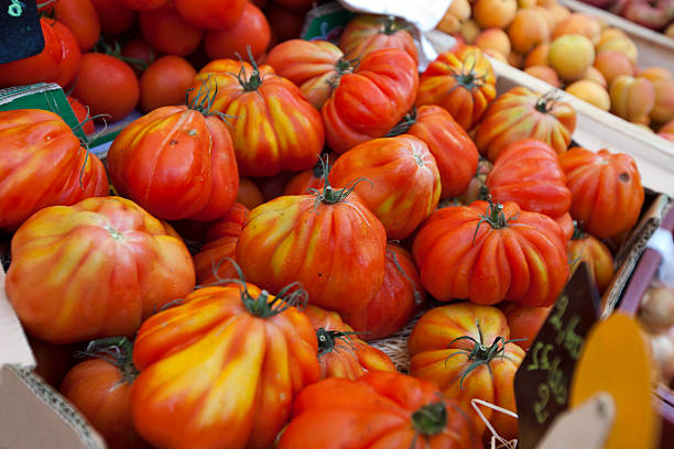 Close-up of tomatoes on display in store Close-up of tomatoes on display in store angouleme stock pictures, royalty-free photos & images