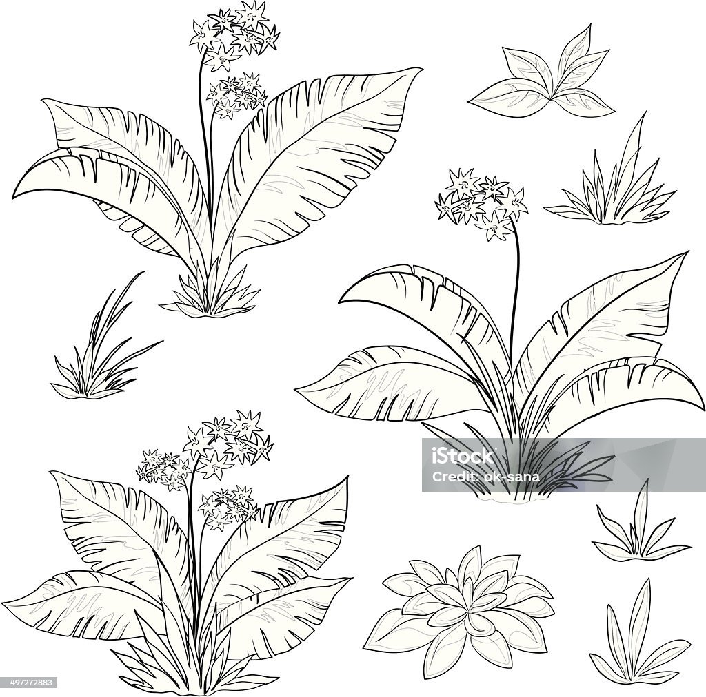 Flowers and grass set, contours Set plants: flowers and grass, black contours isolated on white background. Vector Black And White stock vector