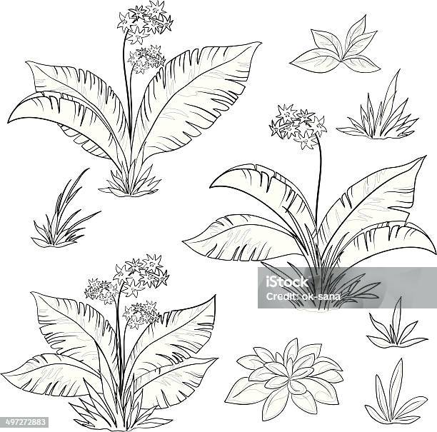Flowers And Grass Set Contours Stock Illustration - Download Image Now - Black And White, Black Color, Blossom