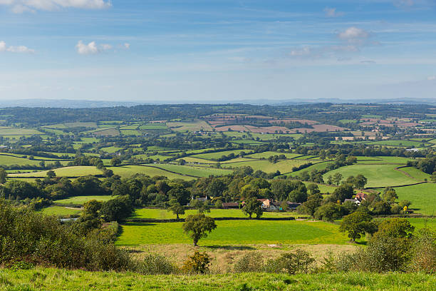 Blackdown Hills east Devon countryside view from East Hill