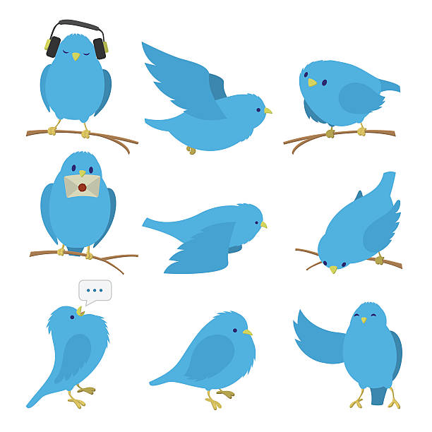 Blue Birds Set Stock Illustration - Download Image Now - Bird, Bluebird -  Bird, Cartoon - iStock