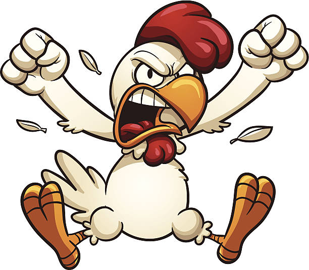 Angry chicken Angry cartoon chicken. Vector clip art illustration with simple gradients. All in a single layer. abhor stock illustrations